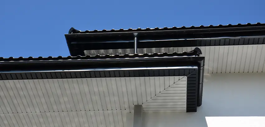 Roof Overhang Repair in Park Ridge